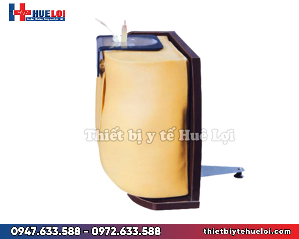Mô hình gây tê tủy sống